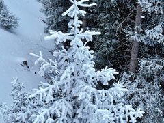 -丝绸之路山地度假区滑雪场