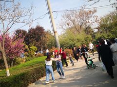 -西安青龙寺遗址景区