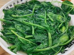 豌豆尖-杨三孃跷脚牛肉(美洲花园店)