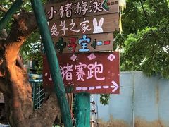 -麻涌飞鸭开心农场
