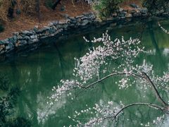 -颐和园