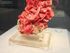 -湖南省地质博物馆