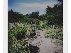 -BHC炸鸡(莲洞店)