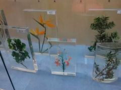 -陕西自然博物馆