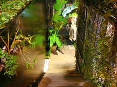 -肴约·花园式餐厅(湖里店)