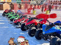 -丁香湖丁香小镇Citypark滑雪公园戏雪嘉年华