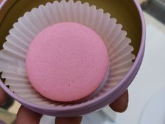 -麦雪尔甜品·生日蛋糕(新街口旗舰店)