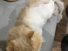 -小时光咖啡馆(开森度假森林店)