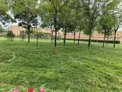 -北京大葆台遗址博物馆