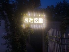 -西西这里民谣酒馆