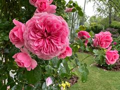 -武汉园博园(武汉自然博物馆)