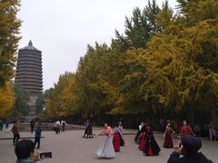 -玲珑塔公园