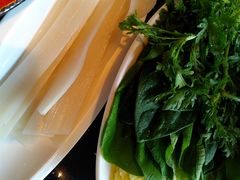 -宽巷子成都火锅(南站店)