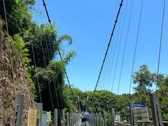 -川西竹海景区