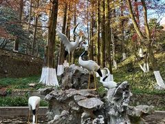 -莫干山风景区