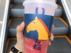 -春丽小马(济南恒隆广场店)
