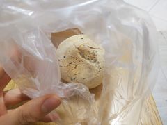 -多乐之日(和平伊势丹店)