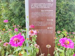 -洋湖国家湿地公园