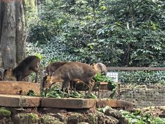 -昆明动物园