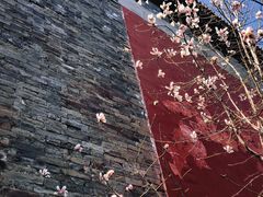 -东华门大街小区