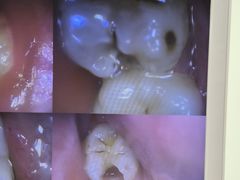 -欢乐口腔(望京分院)