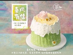 -维尔纳斯·生日蛋糕·动物奶油冰淇淋蛋糕(六里桥店)