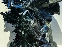 -重庆自然博物馆(新馆)