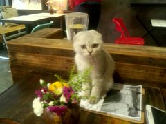 android_upload_pic-MIKAKU(万达广场上海宝山店)