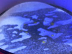 -秦炉烤肉(财富中心店)