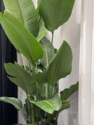 -YASAKI国际舞蹈中心