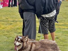 -上海神旺大酒店