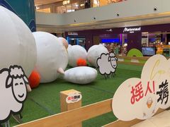 -阳光天地