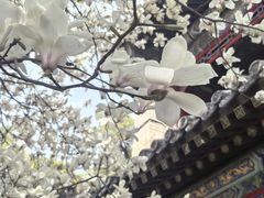 -潭柘寺景区