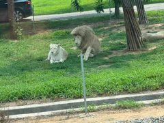 -秦皇岛野生动物园