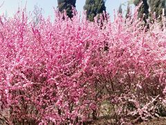 -长春公园(普阳街道)