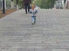 -白塘生态植物园