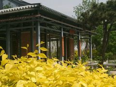 -武清南湖绿博园