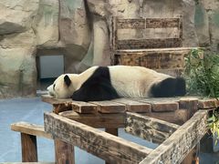 -无锡动物园·太湖欢乐园