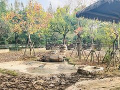 -上海野生动物园
