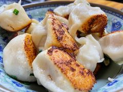 鲜肉煎饺-无名氏宵夜小摊(祝家三姐妹馄饨店)