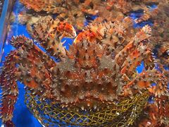 -79号渔船海鲜饭店(华强北店)