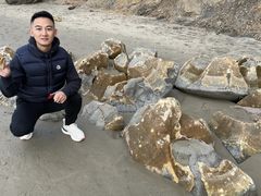 -摩拉基大圆石