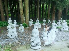 -武陵山森林公园