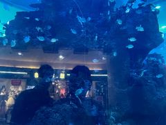 -鸿通城购物中心