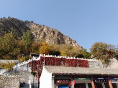 -北京上方山国家森林公园
