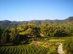 -塔川景区