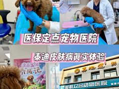 -美联众合爱康动物医院•复杂内科•肿瘤科•牙科•腔镜诊疗中心