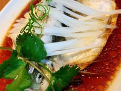 -宁波柏悦酒店·钱湖渔港