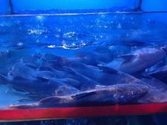 -老阿爸江浙土菜(前进东路店)