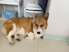 -怪兽屋·羊驼·猫咖·狗咖(俊华广场店)